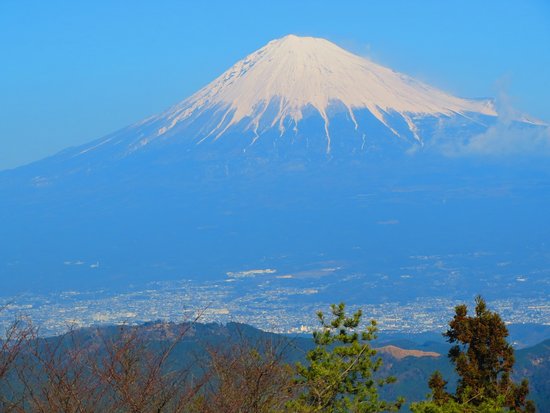 Hamaishidake