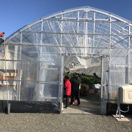 Hakuryuko Tourism Orchard