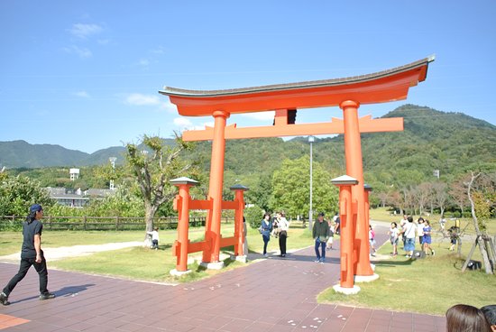 Outdoor Pictures 1