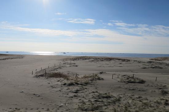 Maisaka Beach