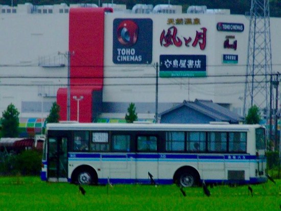 Hamamatsu Bus