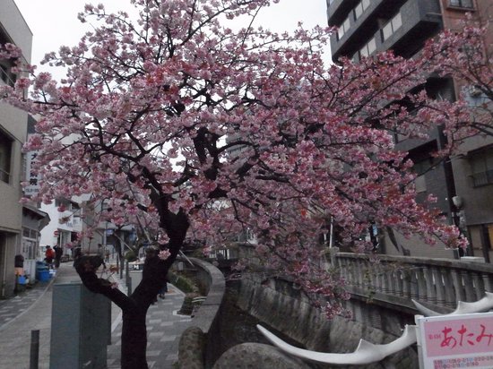 Itokawa Path