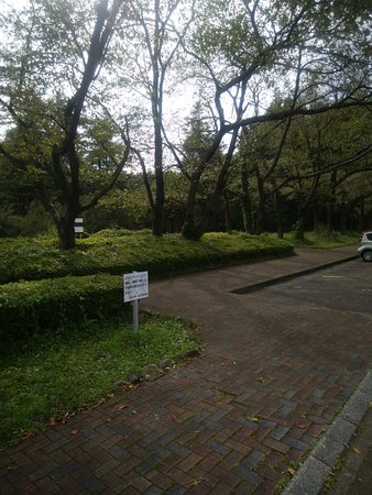 Inokashira Park