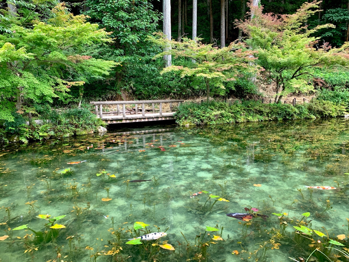 Hatago Pond