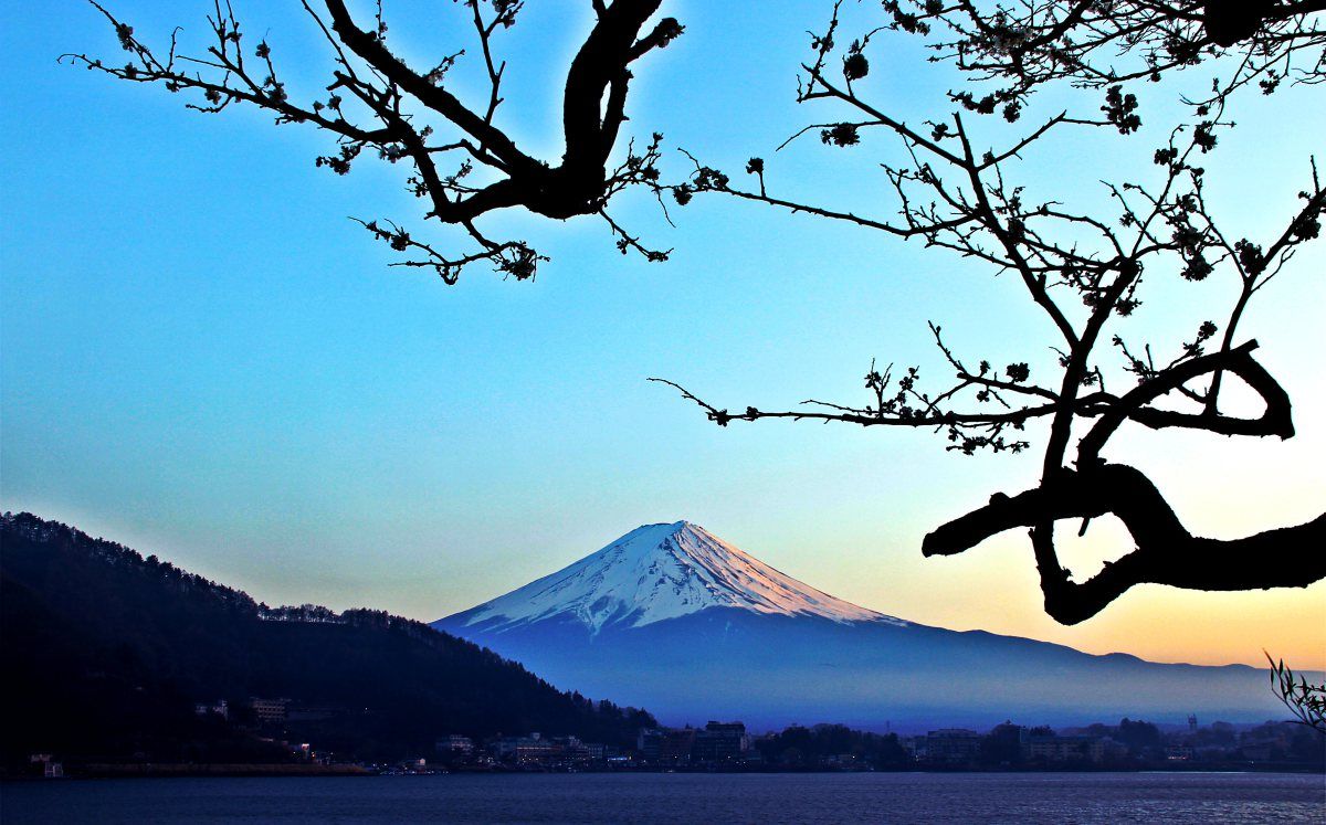 Hidari Fuji