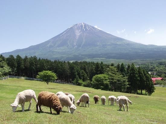 Makaino Farm