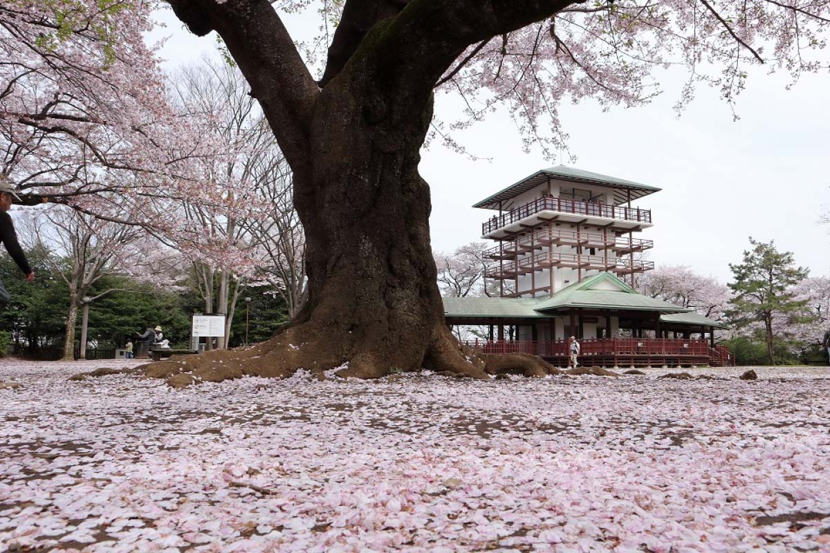 Nodayama Kenko Ryokuchi Park