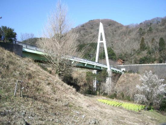 Okuno Echo Bridge