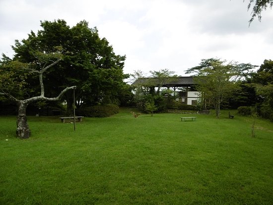 Outdoor Pictures 1