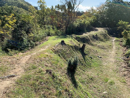 Nirayama Castle Ruins