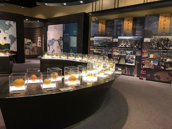 Pear Museum