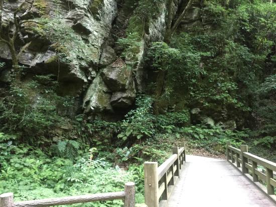 Imadaki Fall