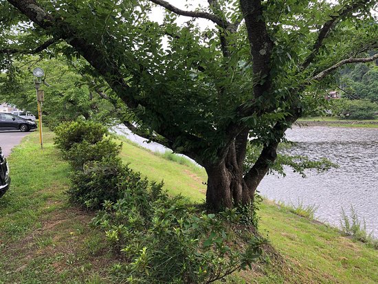 Mitoyagawa Kasenjiki Park