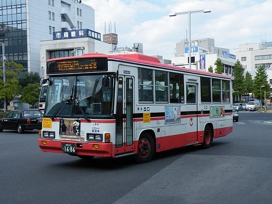 Ichibata Bus