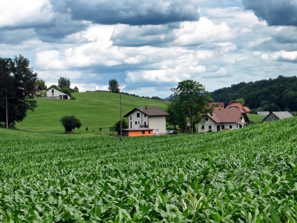 Natural Farm