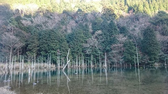 Ichinomatasakura Park