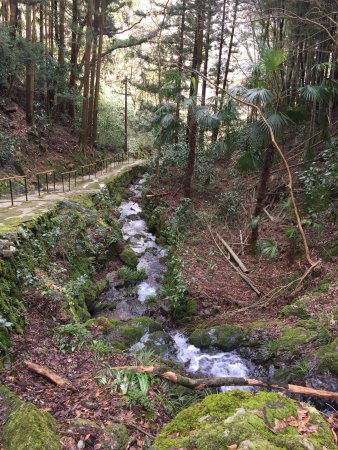 Otome Mountain Path Maria Cathedral