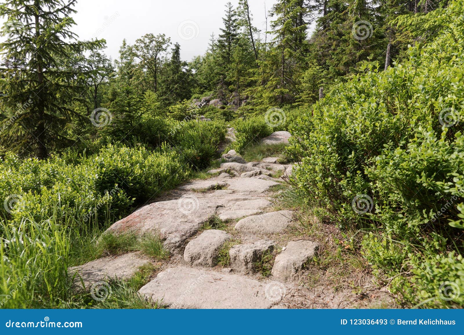 Nature Environment Park