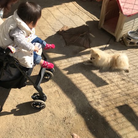 Shibukawa Zoo