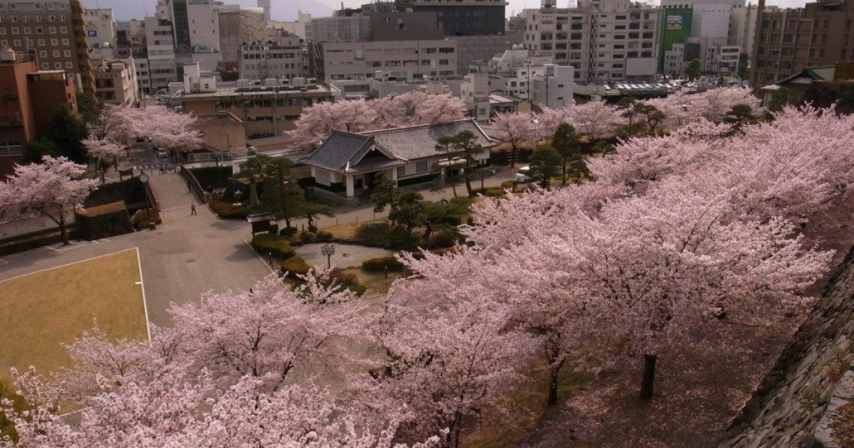 Yamanashi Kengikaigijido