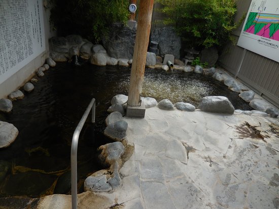 Tortoise Onsen