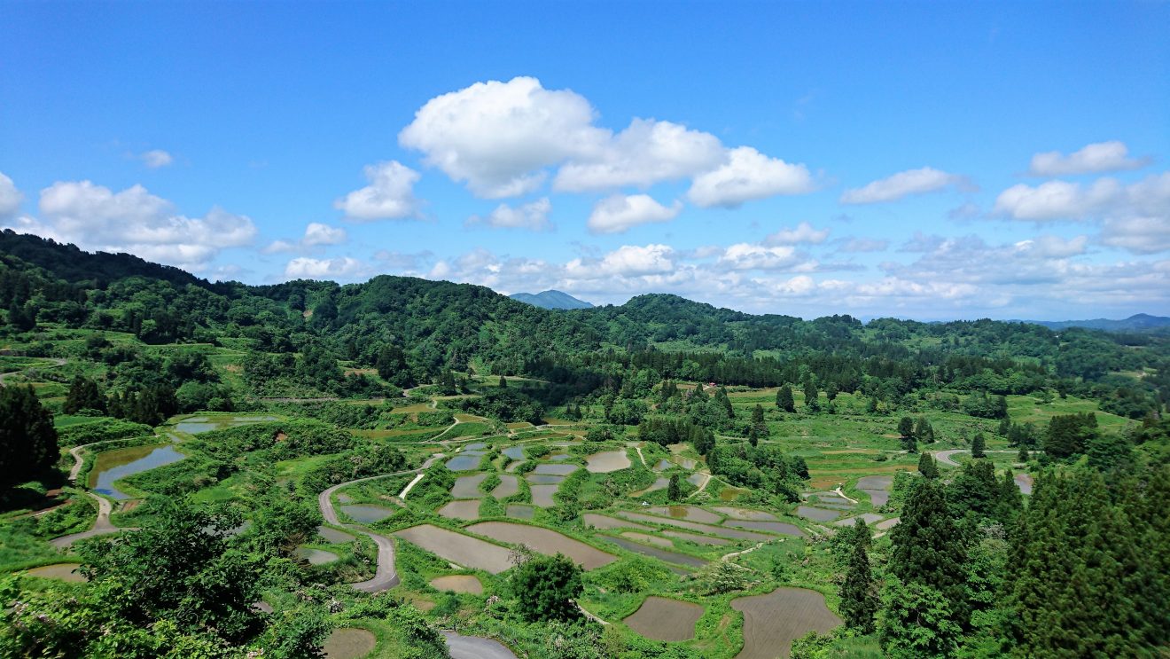 Home Home Niigata