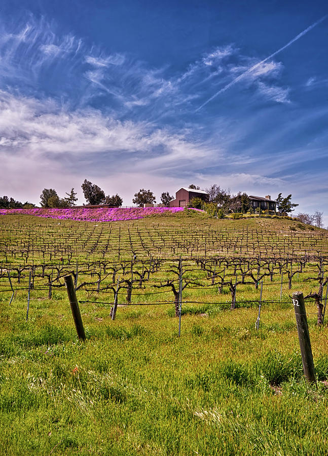 Lumiere Winery