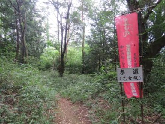 Shinpu Fujitake Shrine