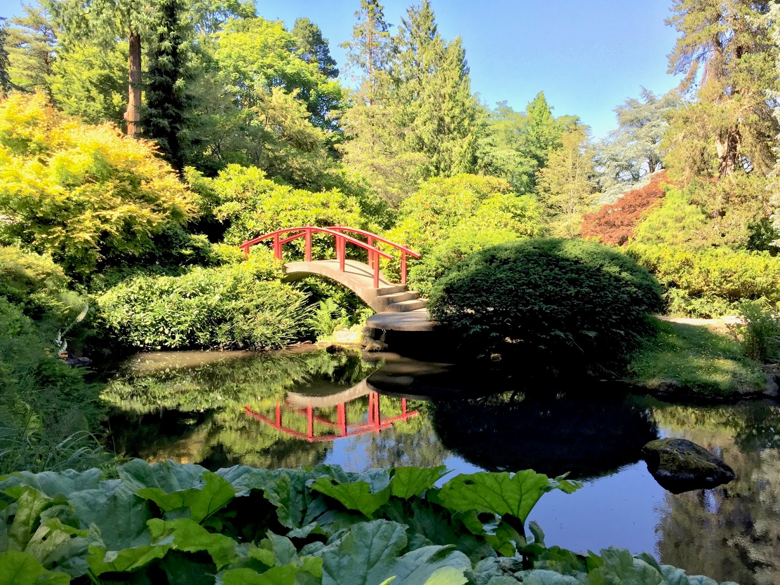 Kubota Gardens