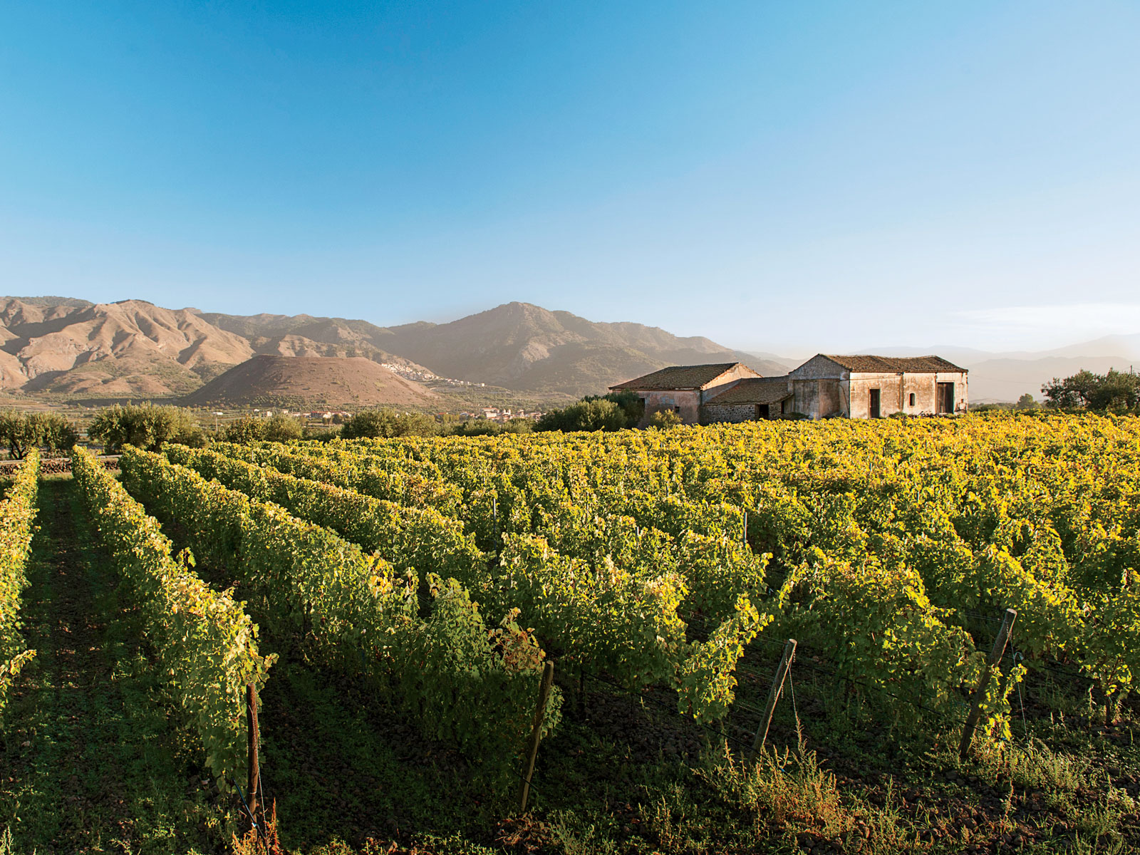 Kizan Winery