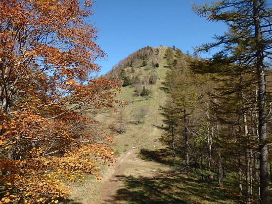 Mt. Kasatoriyama