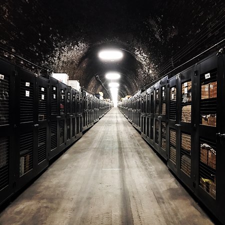 Tunnel Wine Carve
