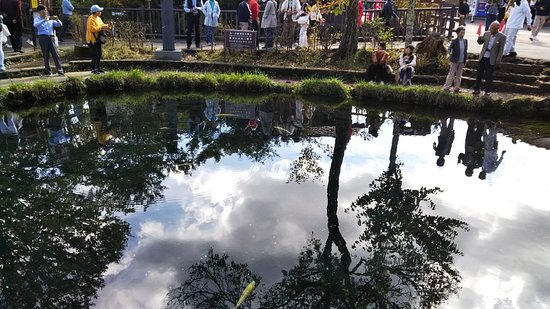 Waku Pond