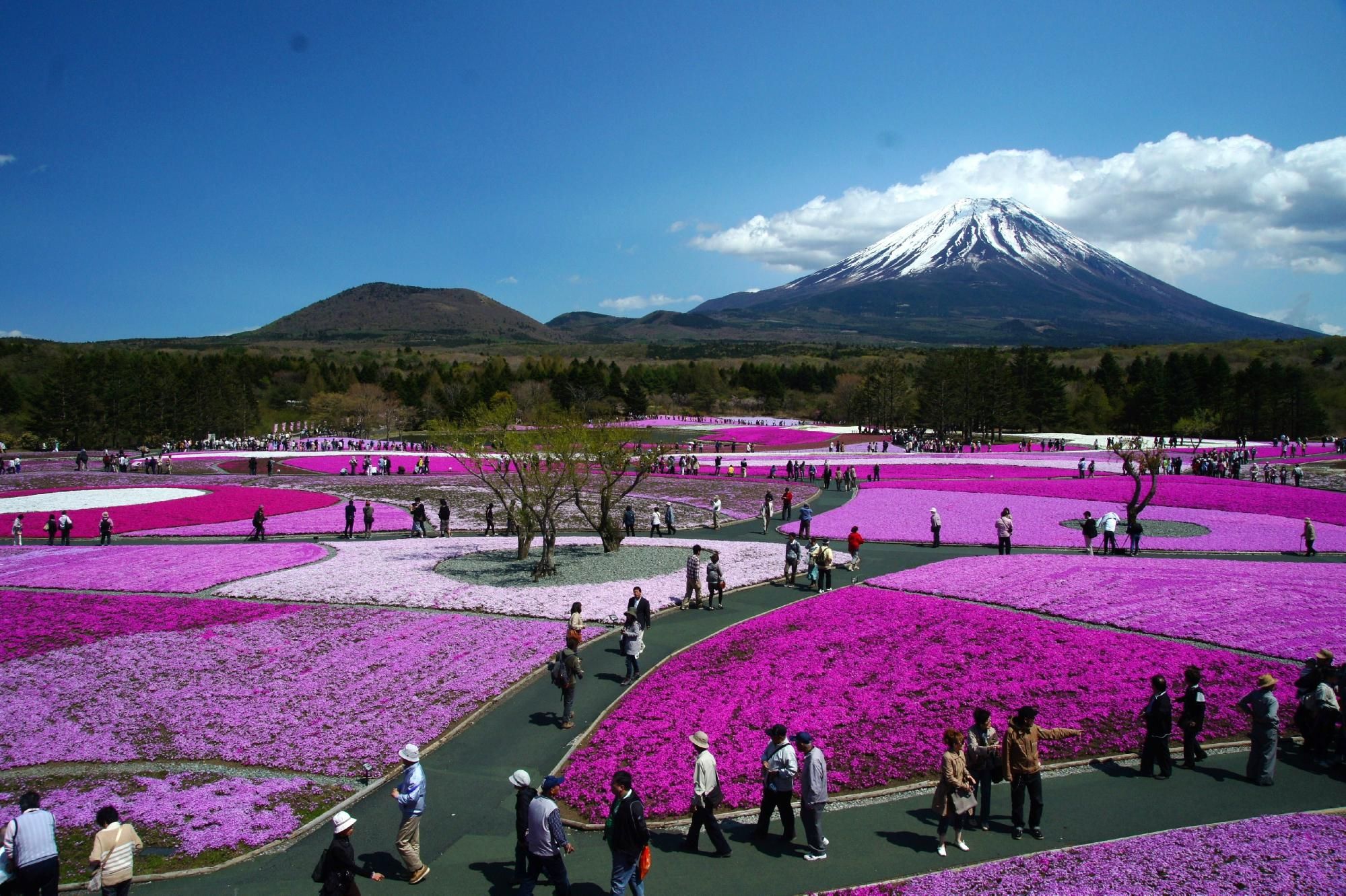 Motosuko Lake