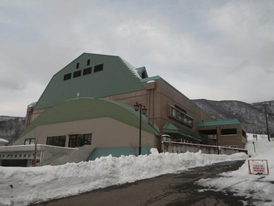 Nozawa Onsen Spa Arena