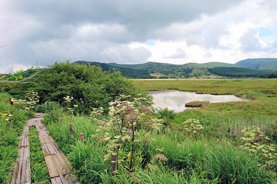 Yashimagahara Marsh