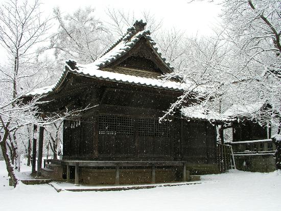 Mt. Saijosan