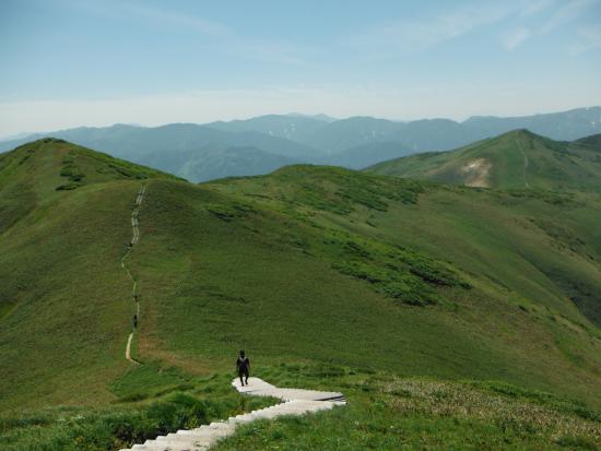 Mt.Sennokura