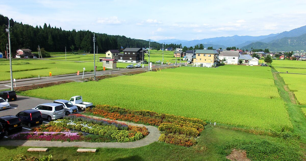 Nonohanakan