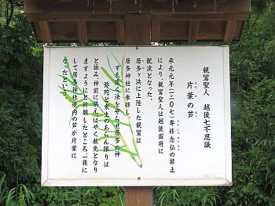 Kataha no Ashi