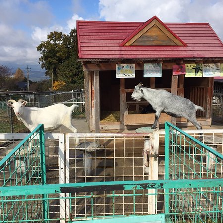 Nakatsugawa City Fureai Farm