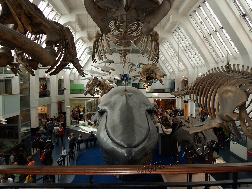 Wara History Museum
