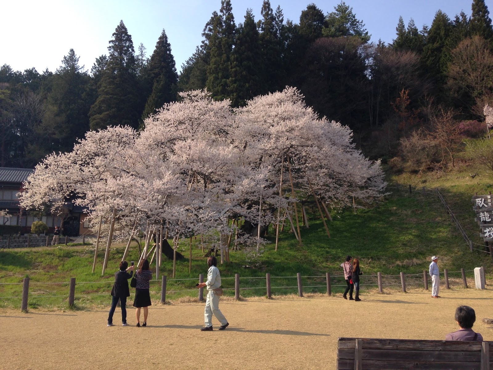 Garyu Park (Garyu Sakura)