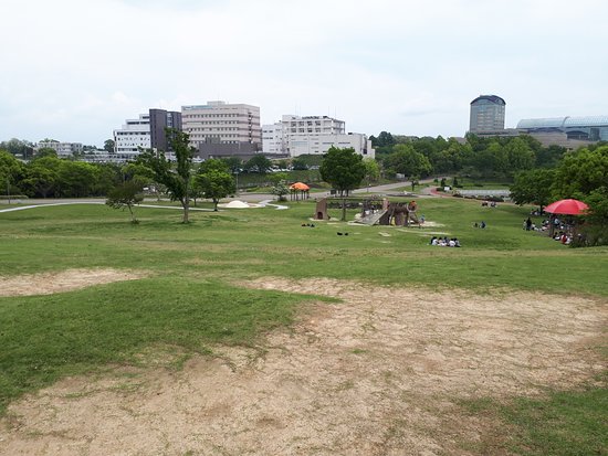 Aichi Fitness Forest Park