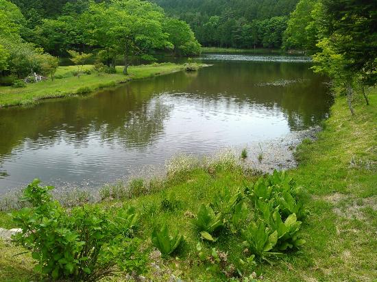 Lake Dando