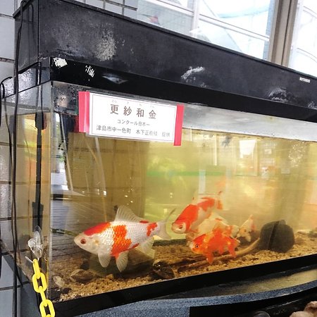 Tsushima Kids Science Museum