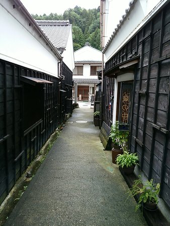 Outdoor Pictures 1
