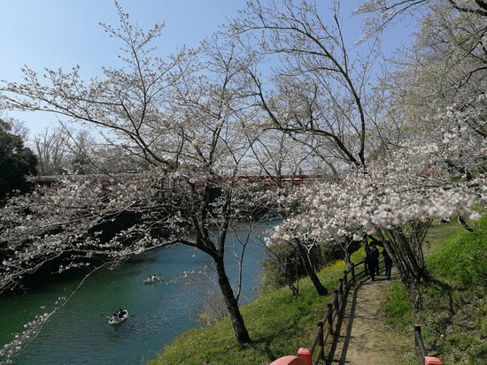 Sakurabuchi Park