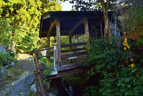 Outdoor Pictures 1