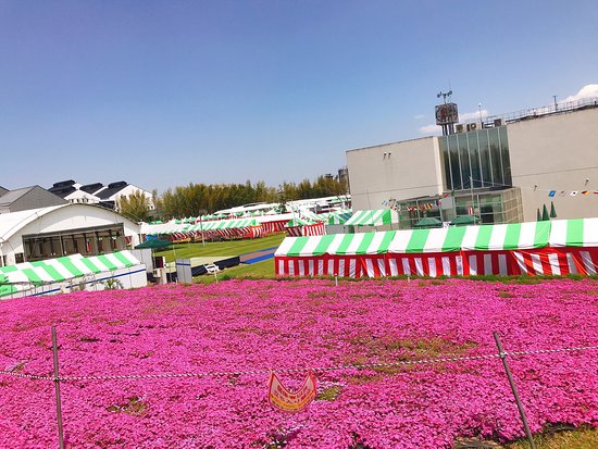 Kirishima Wolk Factory